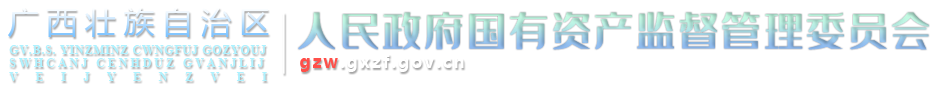  廣西壯族自治區(qū)人民政府國(guó)有資產(chǎn)監(jiān)督管理委員會(huì)網(wǎng)站